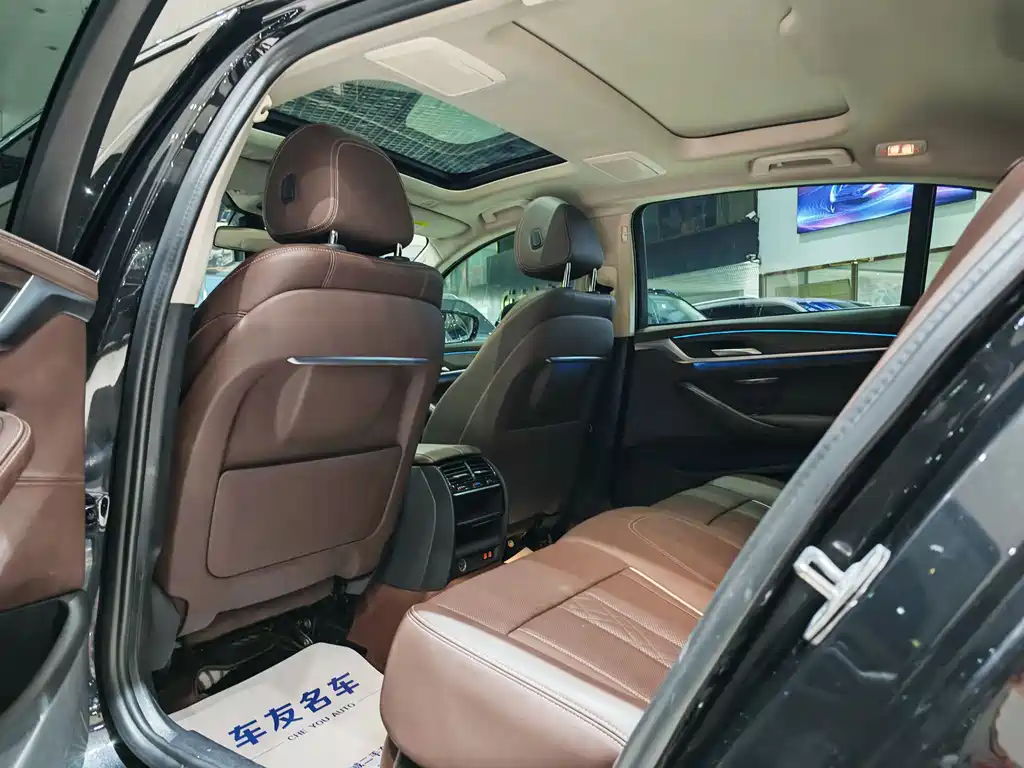 BMW 5 Series New Energy 2021