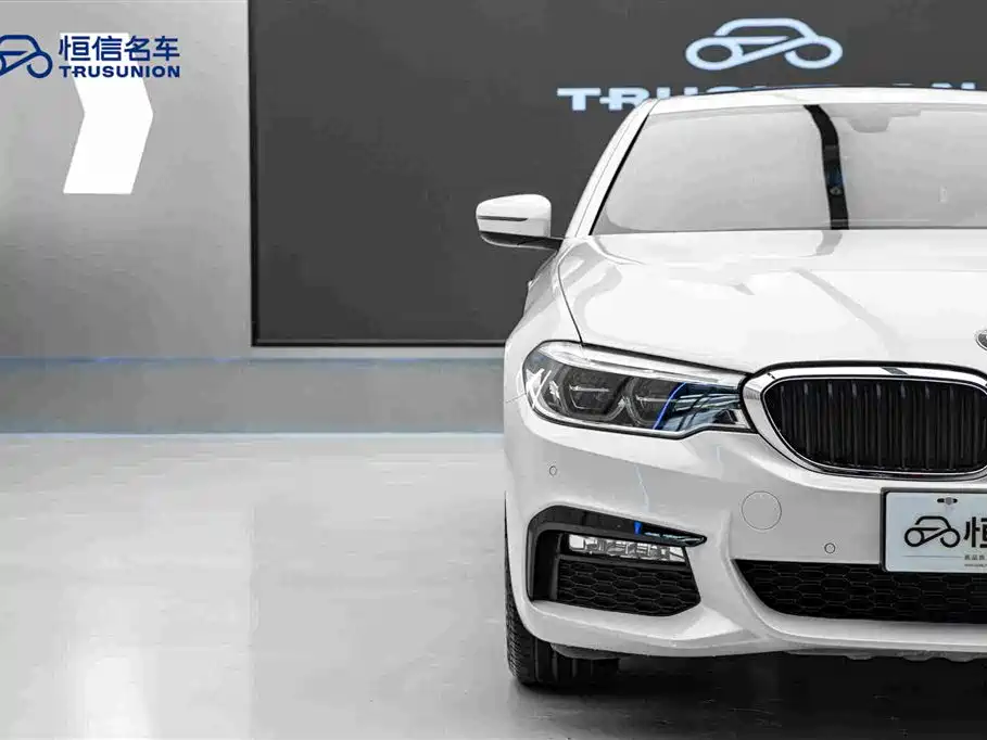 BMW 5 Series 2019 — фото 8