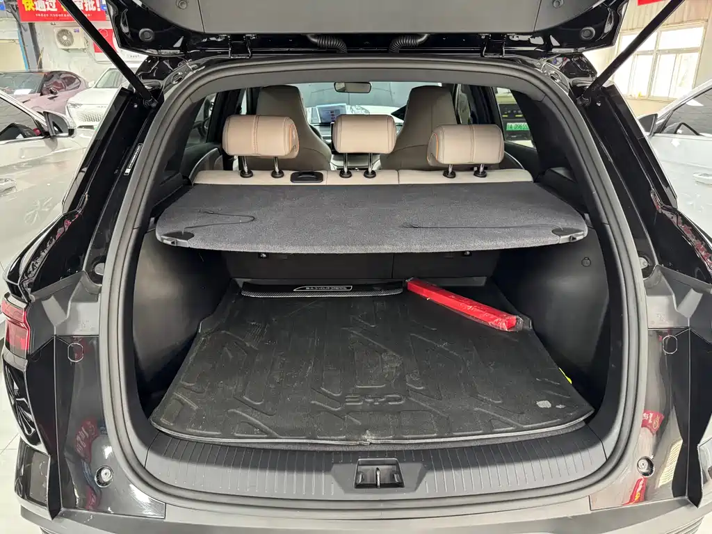 BYD Pro New Energy 2024 — фото 17