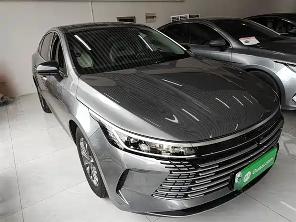 BYD Destroyer 05 2024