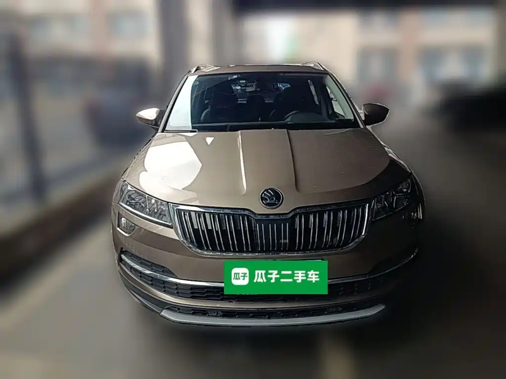 Skoda Karoq 2019 — фото 5