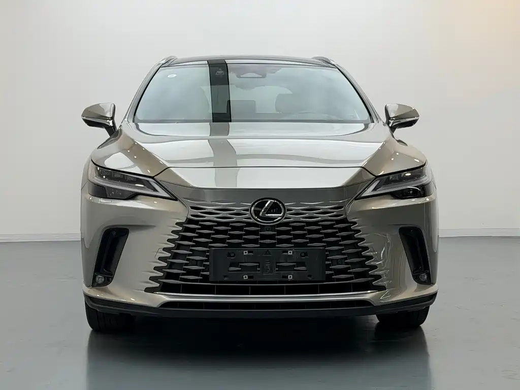 Lexus RX New Energy 2023 — фото 2