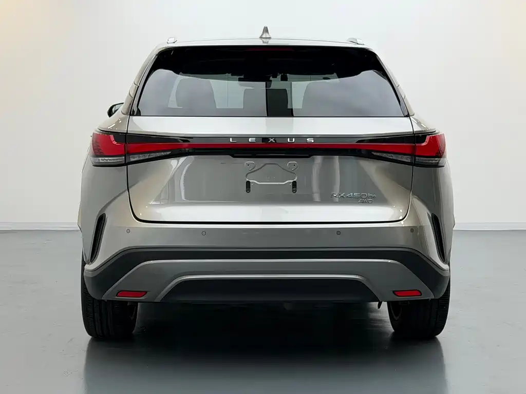 Lexus RX New Energy 2023 — фото 7