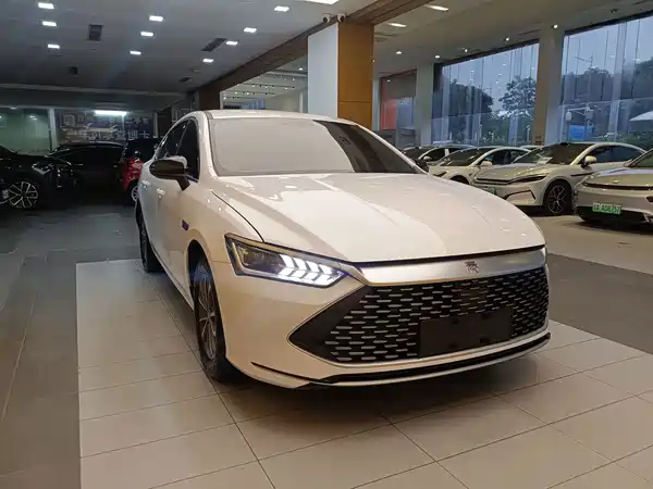 BYD Qin PLUS 2024