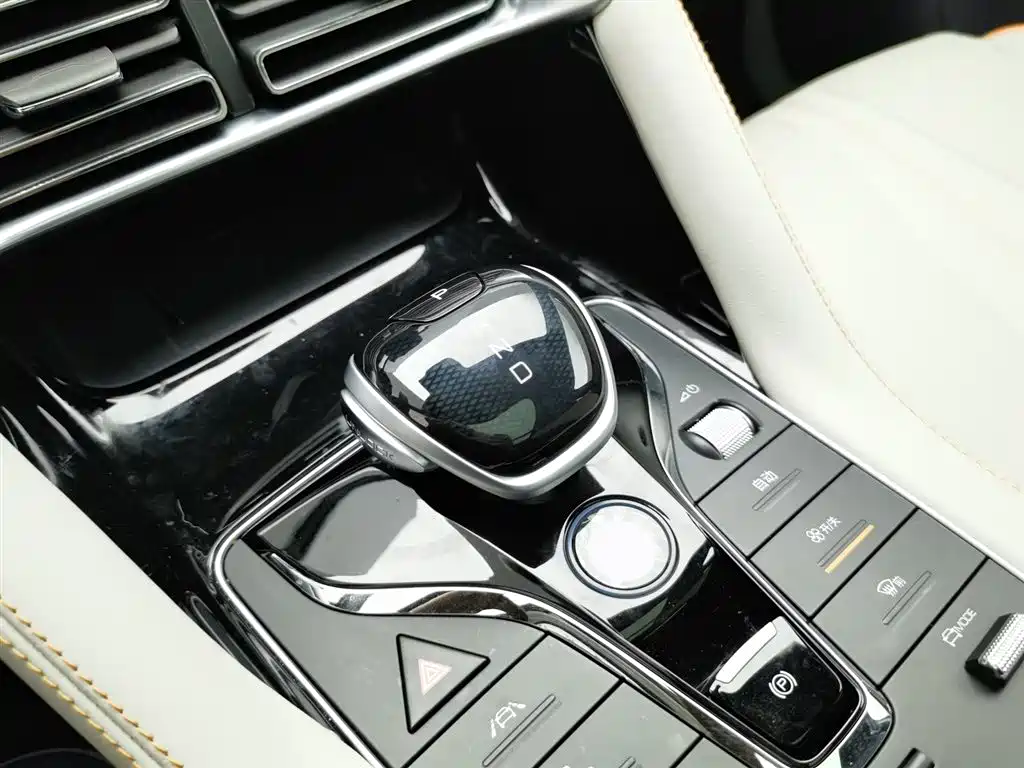 BYD PLUS New Energy 2023 — фото 13