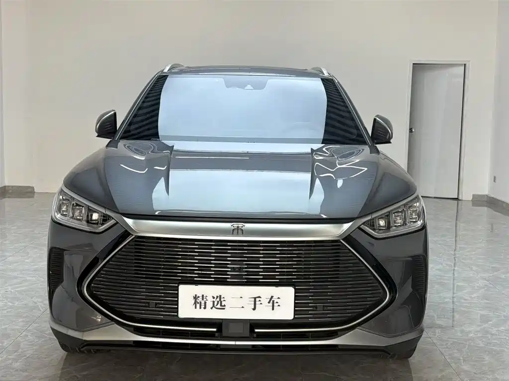BYD PLUS New Energy 2022 — фото 2