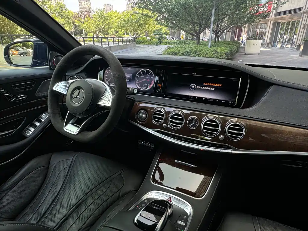 Mercedes-Benz S-Class AMG 2018 — фото 30