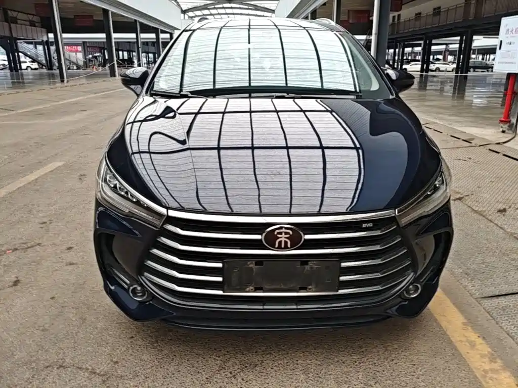 BYD MAX 2020