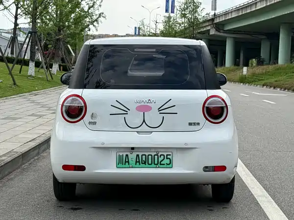 Changan Lumin 2022