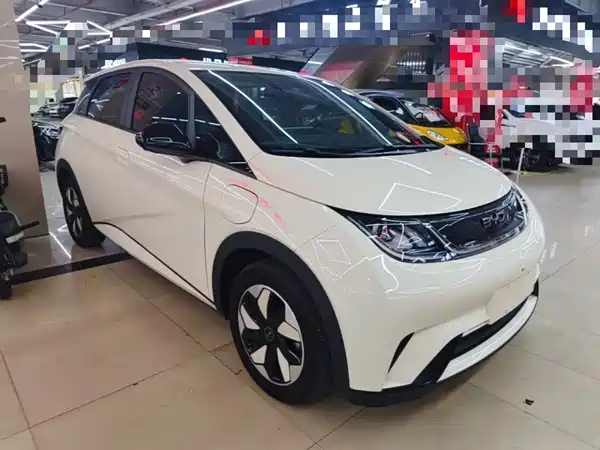 BYD Dolphin 2024