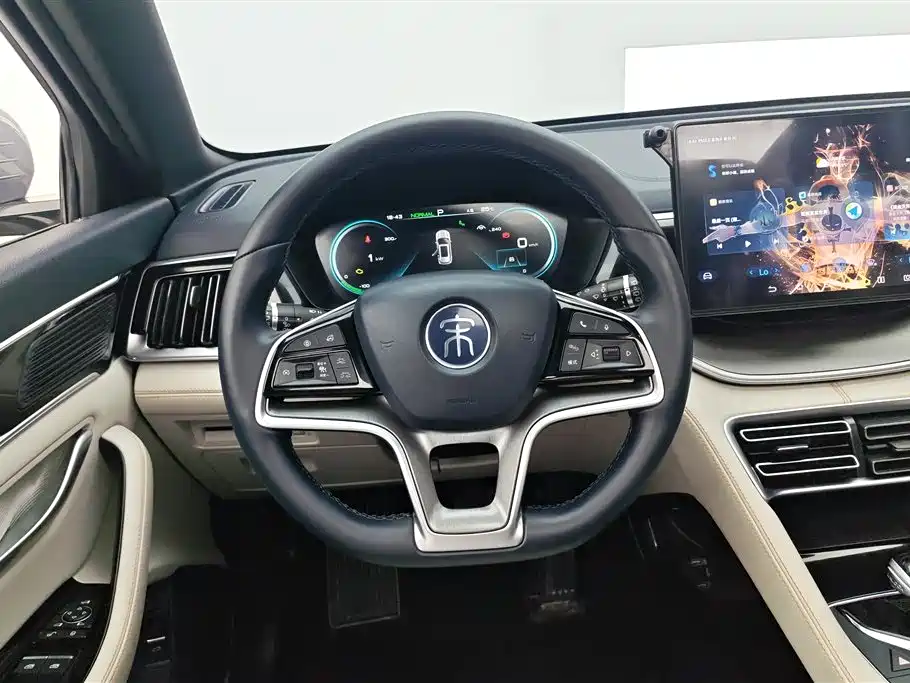 BYD PLUS New Energy 2023 — фото 15