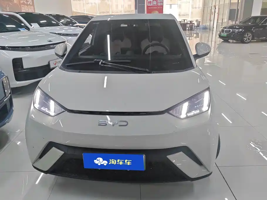 BYD Seagull 2024