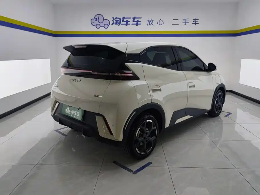 BYD Seagull 2024