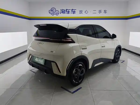 BYD Seagull 2024