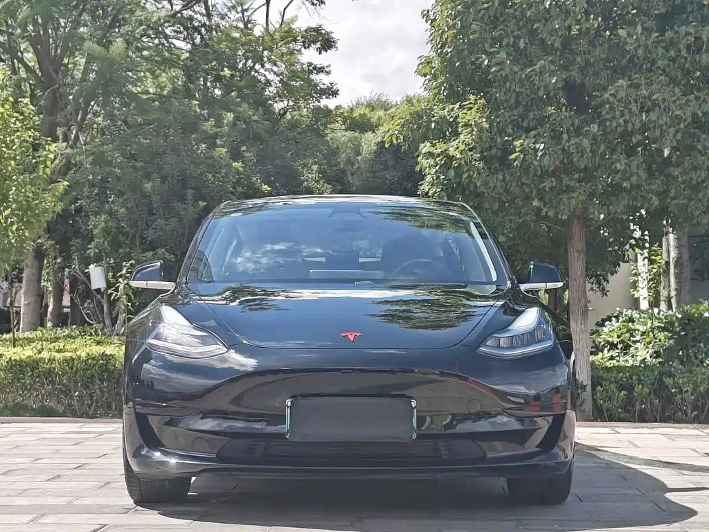 Tesla Model 3 2021 — фото 2