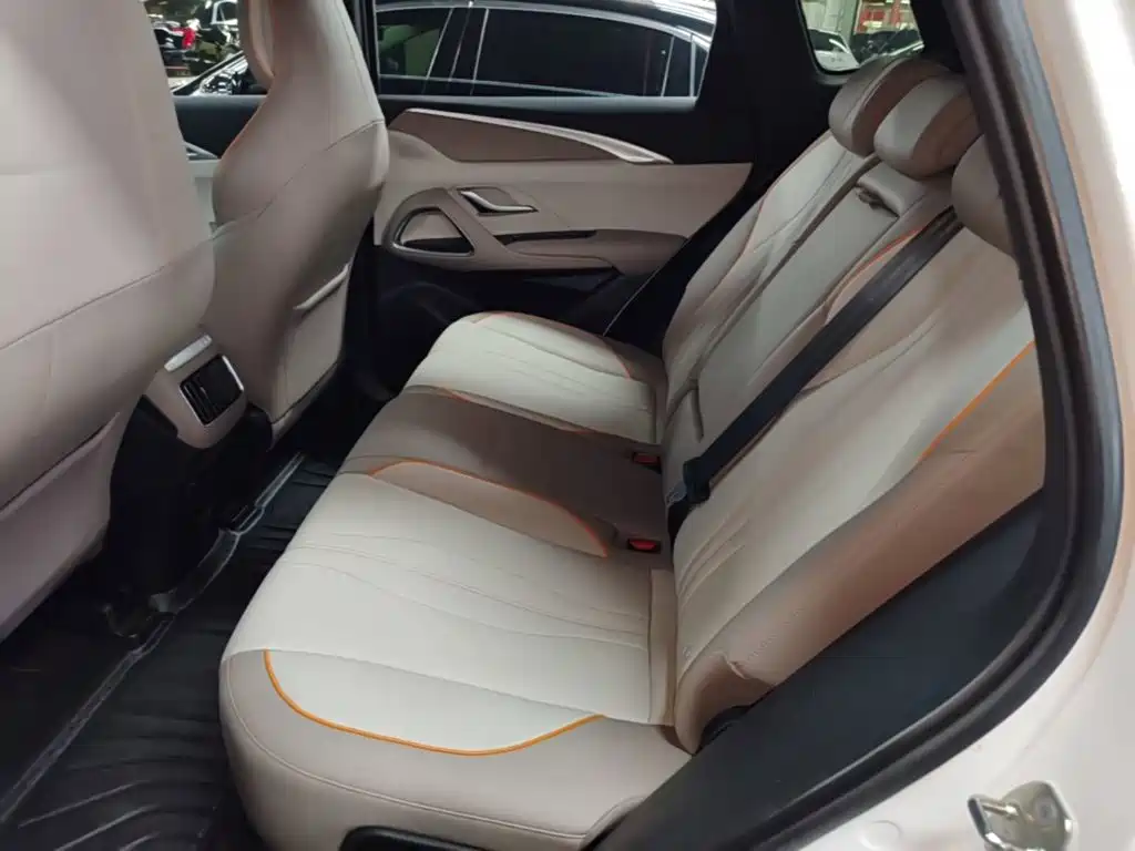 BYD Song Pro New Energy 2024 — фото 17