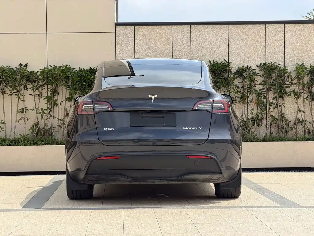 Tesla Model Y 2025 — фото 11