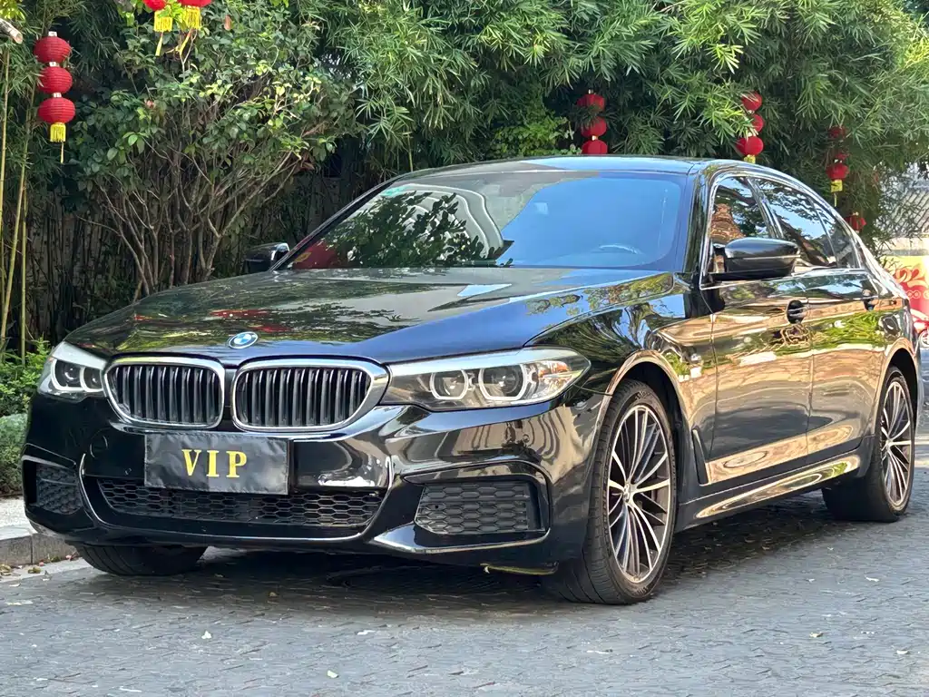 BMW 5 Series 2019