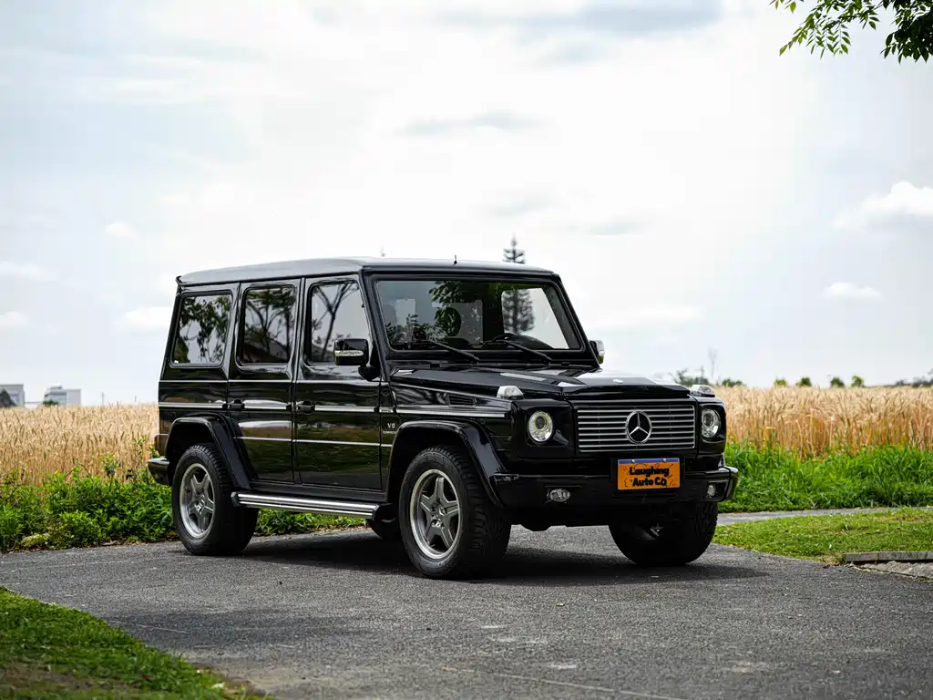Mercedes-Benz G-Class AMG 2009 — фото 5