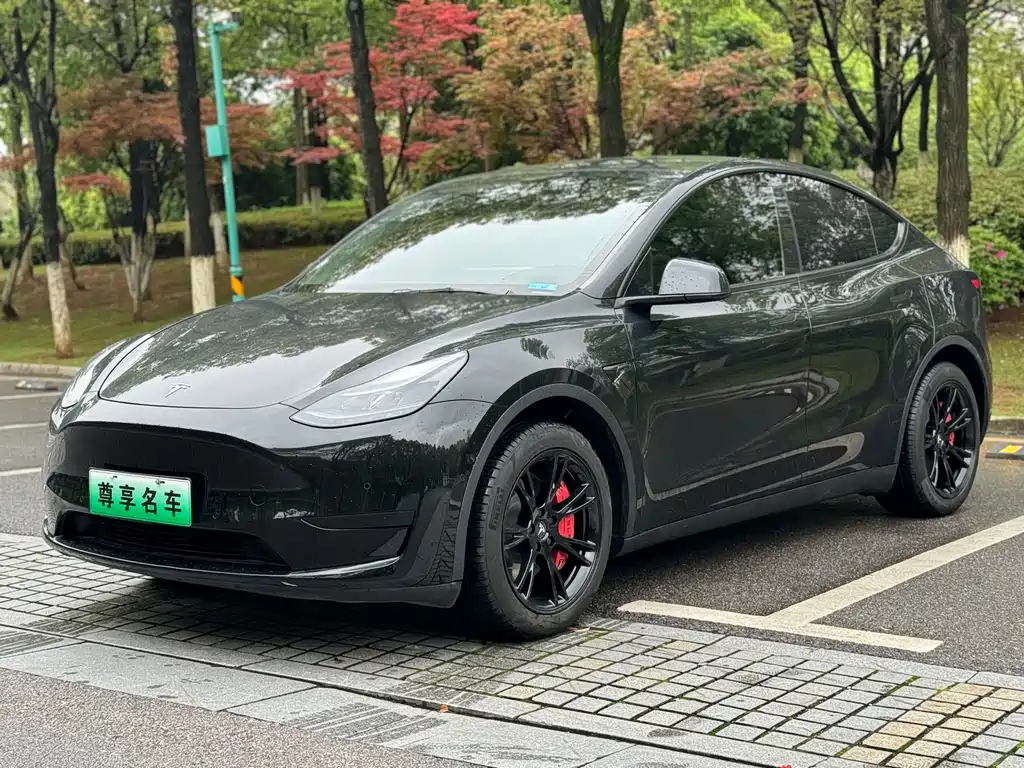 Tesla Model Y 2023 — фото 1