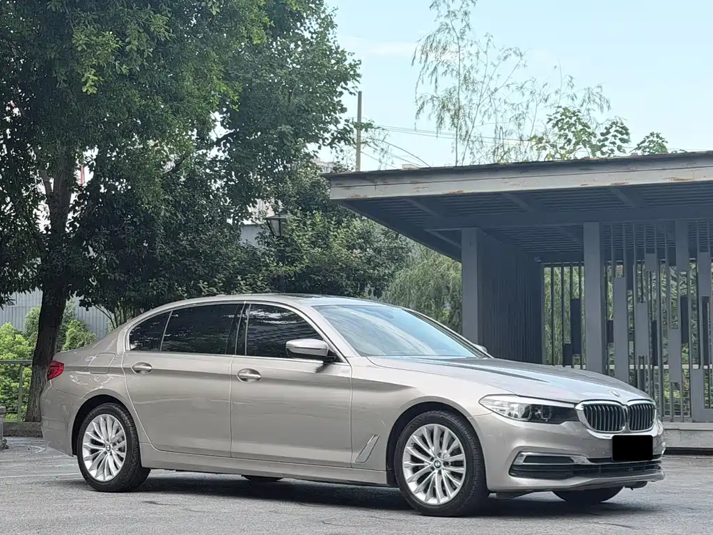BMW 5 Series 2019