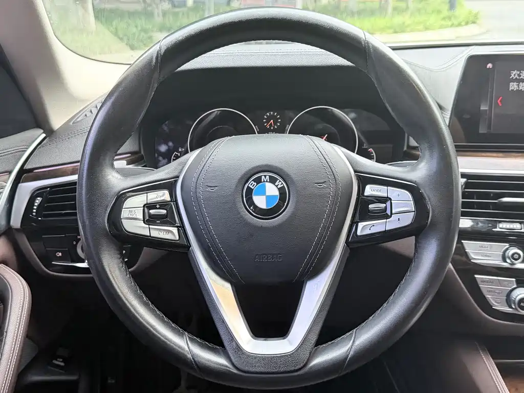BMW 5 Series 2019 — фото 10