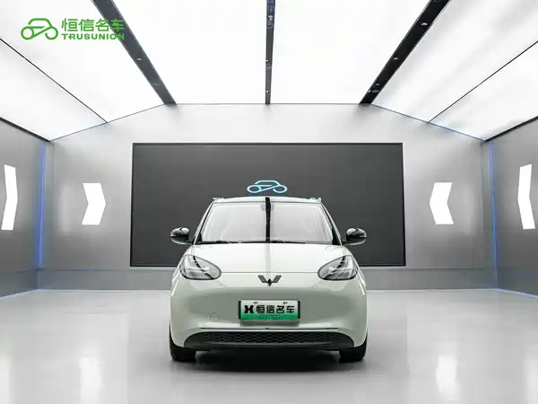 Wuling Bingo 2024