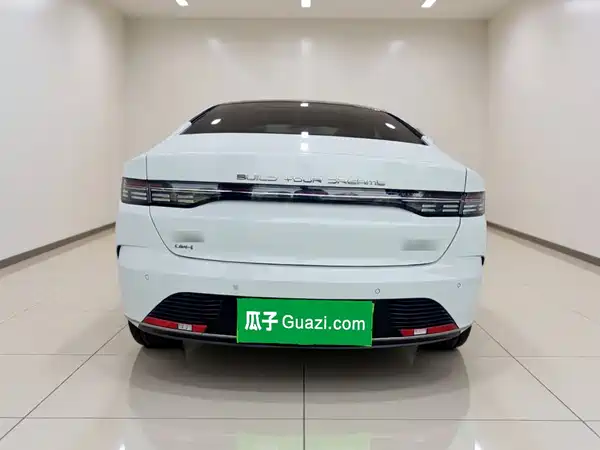 BYD Destroyer 05 2024