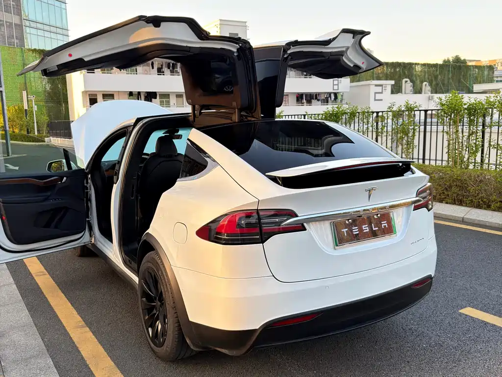 Tesla Model X 2020 — фото 18