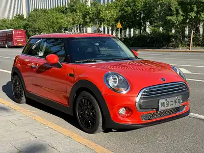 MINI MINI 2019