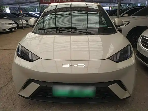 BYD Seagull 2024