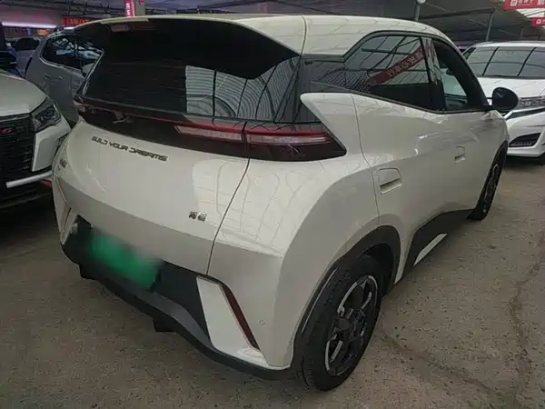BYD Seagull 2024