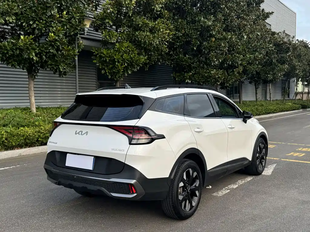 Kia Lion Platinum Expands The Boundary 2024 — фото 5