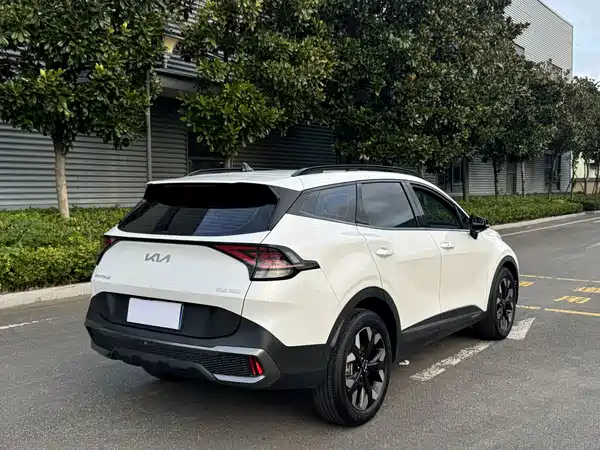 Kia Lion Platinum Expands The Boundary 2024