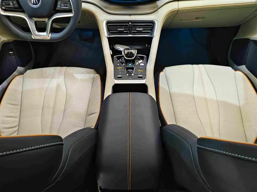 BYD Song PLUS New Energy 2023 — фото 13