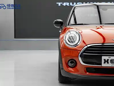MINI MINI 2020