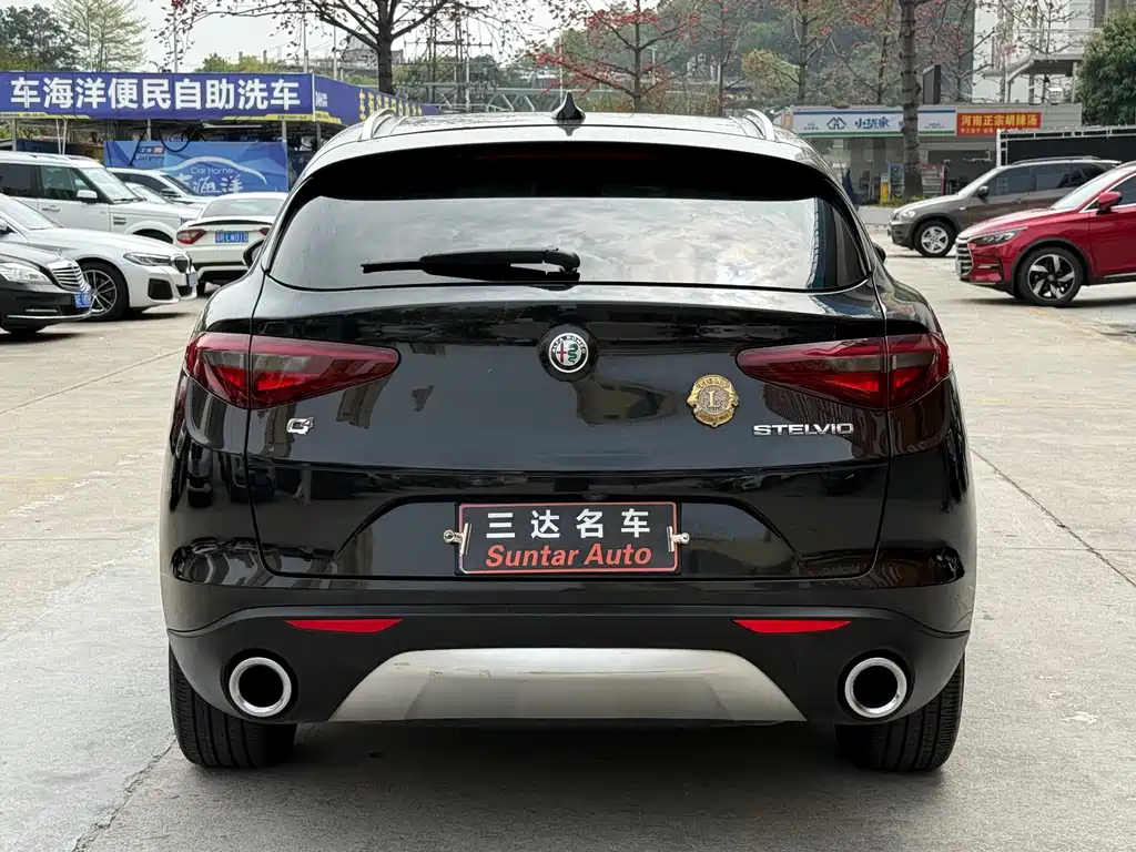 Alfa Romeo Stelvio 2019 — фото 5