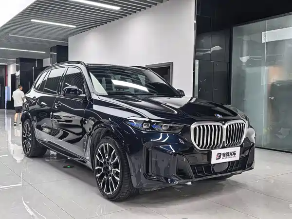BMW X5 2025
