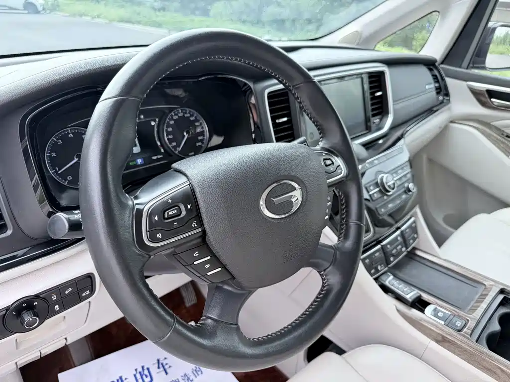 GAC Trumpchi M8 2019 — фото 7