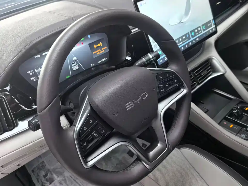 BYD Song PLUS New Energy 2024 — фото 18