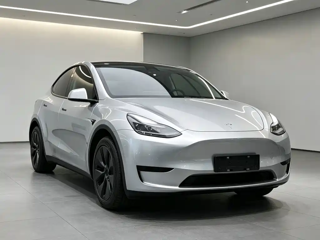 Tesla Model Y 2024 — фото 1