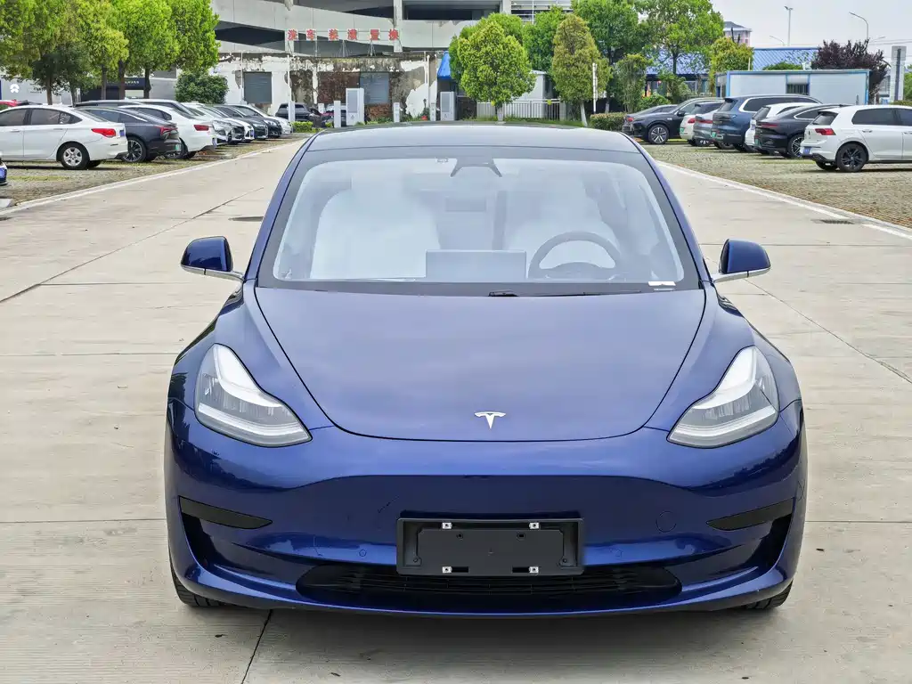 Tesla Model 3 2021 — фото 3