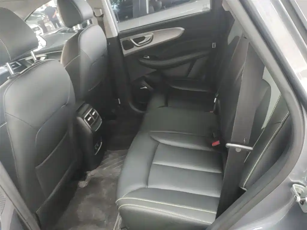 Roewe RX5 New Energy 2020 — фото 17