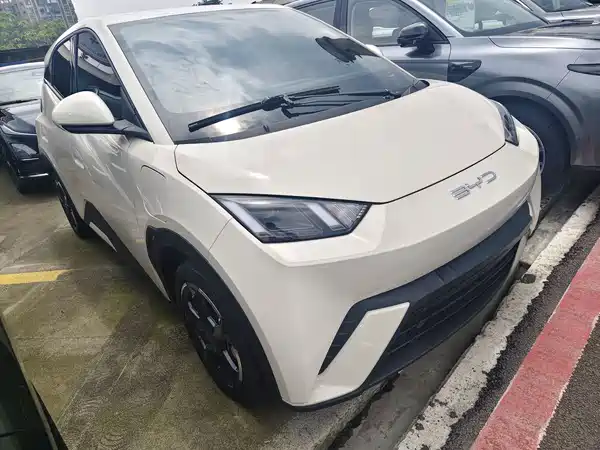 BYD Seagull 2024