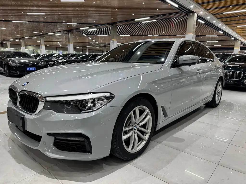 BMW 5 Series 2019 — фото 16