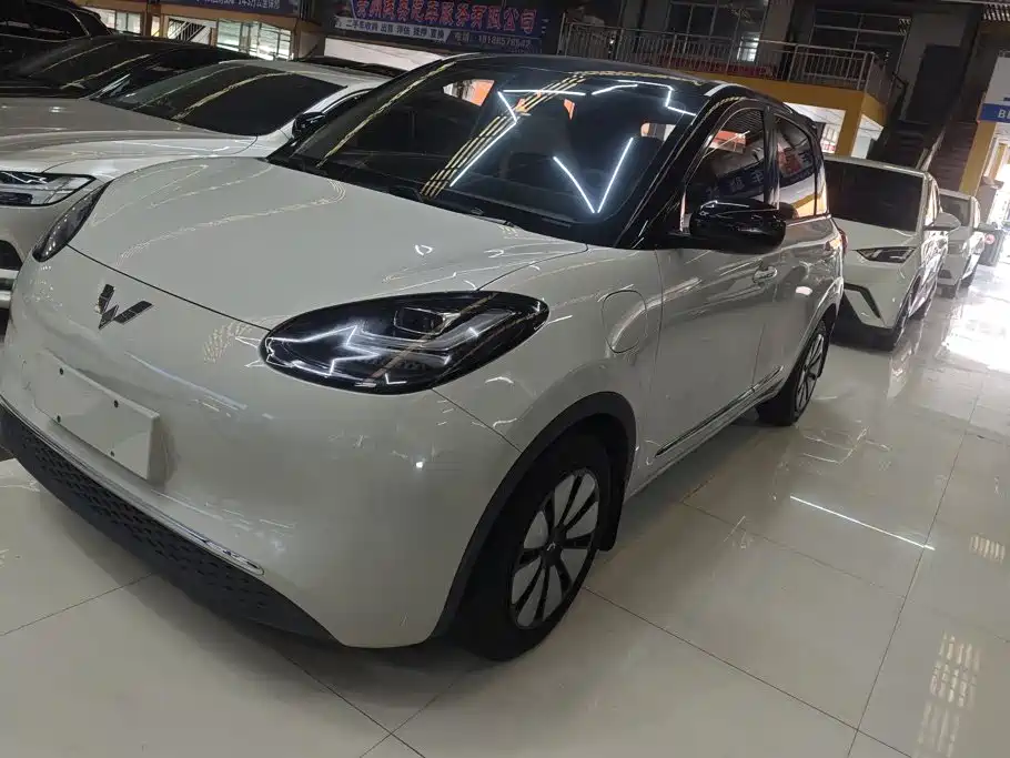 Wuling Bingo 2024