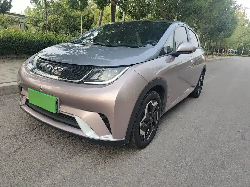BYD Dolphin 2023 — фото 1