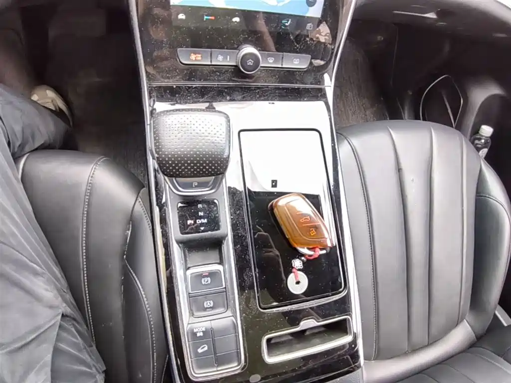 Roewe RX5 MAX 2020 — фото 14