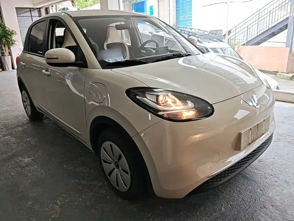Wuling Bingo 2024