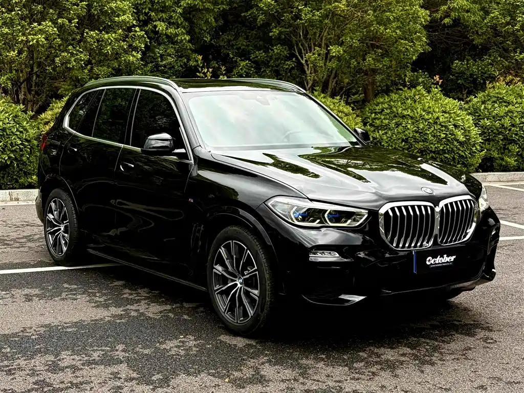 BMW X5 2019
